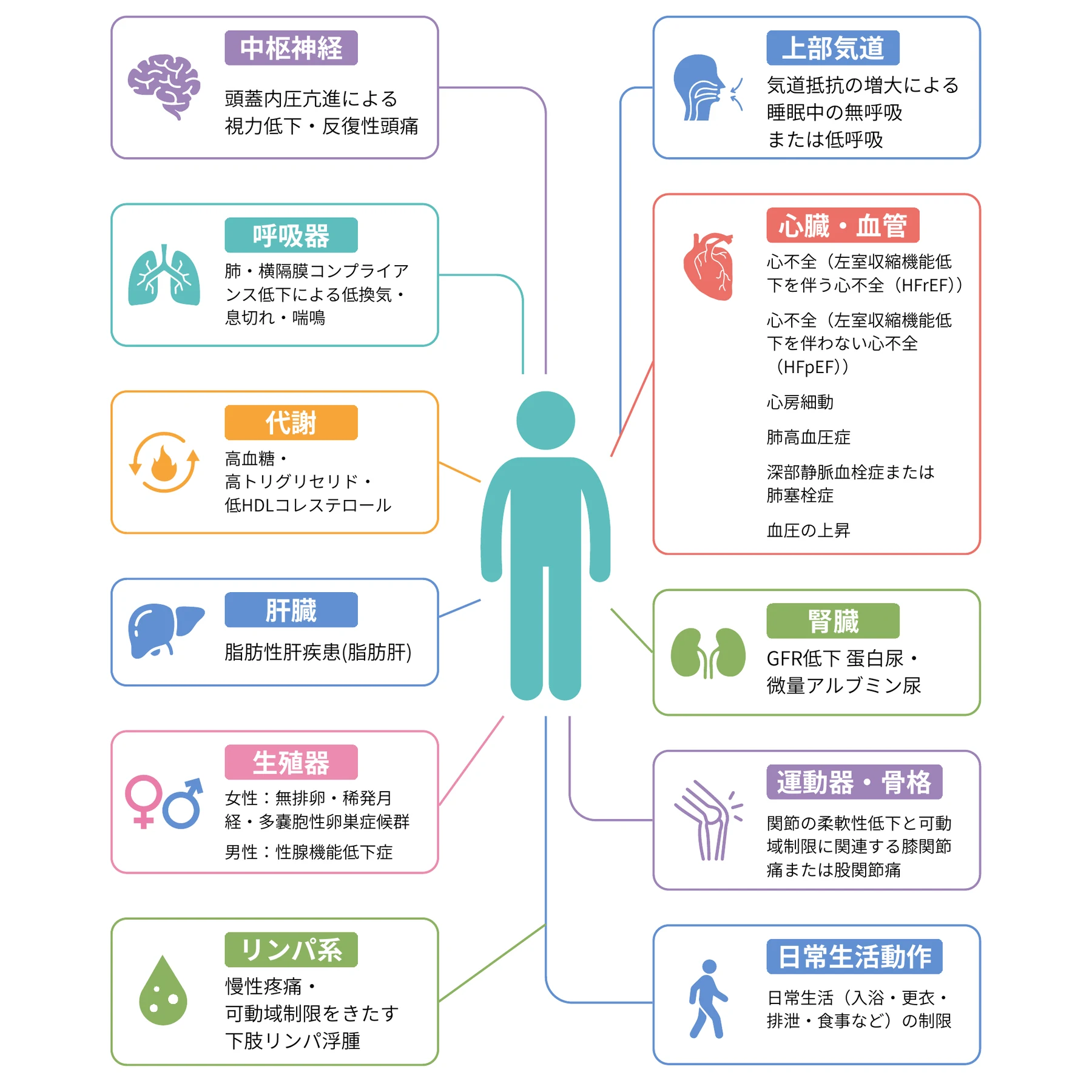 臨床的肥満の診断基準。中枢神経・呼吸器・代謝・肝臓・生殖器・リンパ系・上部気道・心臓血管・腎臓・運動器骨格・日常生活動作の11領域について、臓器の機能低下や日常生活動作の制限を示した図。